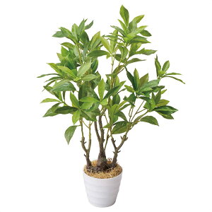 y5%OFFN[|LI111ztFCNO[|bg AZr 1 ϗtA tFCN lHϗtA A  CeA 