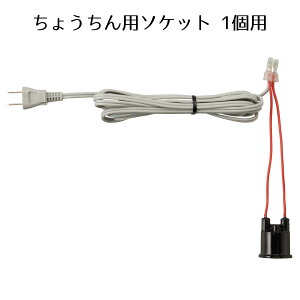 y5%OFFN[|LIubNtCf[Ԓz傤p\Pbg 1p 1  Ղ Î 