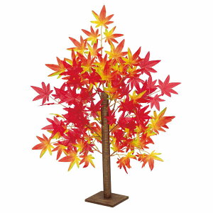 y5%OFFN[|LI111zgt 70cm 1䑗 H   X t { a  tFCN ݂