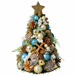 y5%OFFN[|LIubNtCf[Ԓz~bNX~jc[ 30cm u[ 1  k NX}Xc[ 