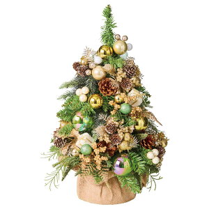 y5%OFFN[|LIubNtCf[ԒzfR[V~jc[ 50cm S[h 1  k NX}Xc[ 