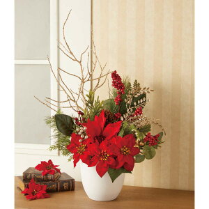 y5%OFFN[|LI1410`16zNVJ|CZ`AԃAW 72cm 1 NX}X CeA t[AWg tFCNt[ v[g