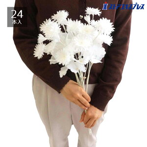 y24{zzCgXv[ O}\E^ȃXv[łB~ɃIXXłBiI⃌WJE^[AItBX̎tȂǁAԕrɑ}ŊȒPɓ~炵X܃fBXv