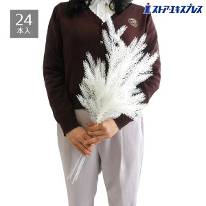 y5%OFFN[|LI111zy24{zzCgXv[ pC  CeA NX}X ~  