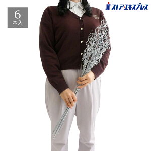 y6{zzCgu` Vo[~̑ɂ߂łB܂Ƃ߂ĉԕrɑ}œ~炵fBXvCɂȂ܂B  CeA   p[c NX}