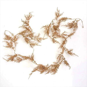 ubVhV_[K[h S[h 1{iIɒuASŔɊAǂɒ݂邵ANX}X炵X܃fBXvCɂȂ܂B O[   p