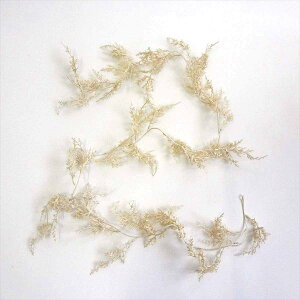 ubVhV_[K[h p[ 1{iIɒuASŔɊAǂɒ݂邵ANX}X炵X܃fBXvCɂȂ܂B O[   p[