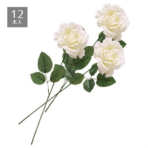 y12{zxxbg[YXv[̂悢ȏԁBiȓ~̃fBXvCɁB~     