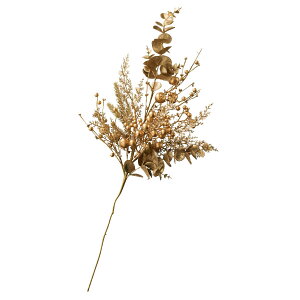 S[hfR[V Xv[ 1{̂S[h̐Fꂽ~̃fBXvCɂ҂Be[u⏤iIAWJE^[V[P[X̃NX}XfBXv