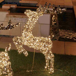 LEDzO{ giJC Wv 1zO{×r[YCg̓Ɠ̋PAgݗĎCgB3ނ̃giJCgݍ킹ē̂fBXvCɁB