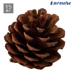 y5%OFFN[|LIubNtCf[Ԓzy15zNX}X   G ڂ ԍ I[ig