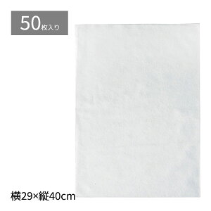 y50zsDzCi[obO 29×40cmApXŗm̏iی̃Ci[obOɍœKȑ܂łBsDz  bsO ۊǑ ی  [ MtgobO t 