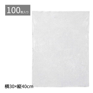 y5%OFFN[|LI}\Ԓzy100zsDz Ci[obO ^Cv  30×40cmsDz  bsO ۊǑ ی  [ MtgobO t 