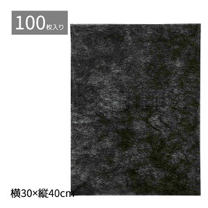 y100zsDz Ci[obO ^Cv  30×40cm̂sDz܂[Yiuɂ񋟁IގԂsvɁBVbp[obOɓO̓ɍœKłBsDz 