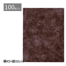 【5%OFFクーポン有り！10月15日限り】【100枚入り】不織布 インナーバッグ 薄タイプ ダークブラウン 45×60cm袋 ラッピング 保管袋 保護袋 茶 収納袋 ギフトバッグ 薄葉紙 内袋