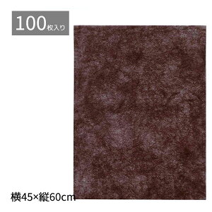 y5%OFFN[|LIyVSSԒzy100zsDz Ci[obO ^Cv _[NuE 45×60cm bsO ۊǑ ی  [ MtgobO t 