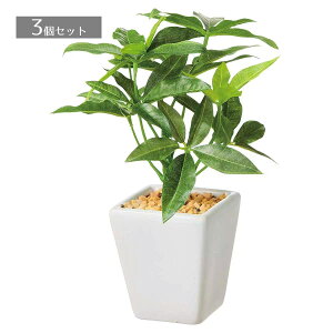 y5%OFFN[|LI111zy3zO[|bg pL tFCNO[ ϗtA tFCN lHϗtA A  ~j CeA  A  Zbg