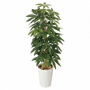 ylzsztFCNO[ pL 120cm 1䃊rO̊Ԏd؂ڂIȎgɁBRȐFE\Bt11璚JɎdグĂ܂B tFCNO