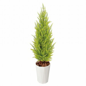 【ラテックス】人工観葉植物 ゴールドクレスト 90cm（造花・フェイクグリーン・フェイクプラント・小さいゴールドクレスト）