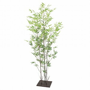 ylzsztFCNO[ u|t 150cm 1a̋Ԃōłe܂銔̒|Bt11AJɎdグĂ܂B tFCNO[ ϗtA tFCN l