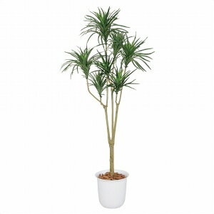 y5%OFFN[|LIyVSSԒztFCNO[ hZi RVl 160cm 1䑗 tFCNO[ ϗtA tFCN lHϗtA A ^ CeA 傫 rO