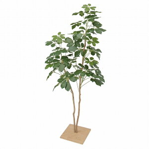 y10%OFFN[|LI125zylzsztFCNO[ j[VFt t 130cm 1䑗 tFCNO[ ϗtA tFCN lHϗtA A ItBX 