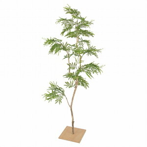 ylzsztFCNO[ Go[tbV t 150cm 1䎩RȐFE\Bt11璚JɎdグĂ܂B tFCNO[ ϗtA tFCN l