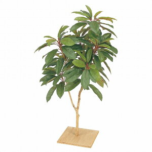 y5%OFFN[|LI121zylzsztFCNO[ Yn t 90cm 1䑗 tFCNO[ ϗtA tFCN lHϗtA A ItBX  Ce