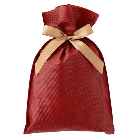 【5%OFFクーポン有り！10月15日限り】【10枚入り】不織布リボン付きギフトバッグ ワイン 幅16×高さ25[17.5]cm送料無料 ラッピング 袋 ギフト おしゃれ 不織布 無地 シンプル 赤 リボン