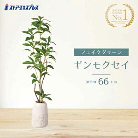フェイクグリーン ギンモクセイ 高さ66cm 1台銀木犀は香りが強く女性人気の高い植物です。送料無料 フェイクグリーン 観葉植物 フェイク 人工観葉植物 リアル インテリア ギンモクセイ 鉢植え 鉢 セット