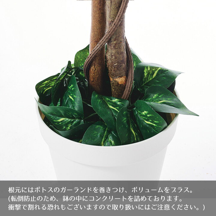 楽天市場】【天然木使用】ベンジャミン グリーン 高さ210cm フェイク 
