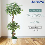 【5%OFFクーポン有り！10月7日限り】フィカスダブル 高さ180cm 1台送料無料 フェイクグリーン 観葉植物 …