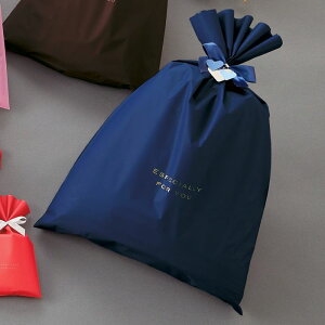 y30znMtgobO lCr[ 34×51cmCȂ̈ɃMtg߂܂BMtgobO bsO    rj[ lCr[