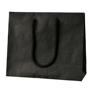 y100z񎆑  26×10×22cmyXgAEGLXvX IWiznɍRʂVbNȎ܁B   Ɩp  bsO Mtg 