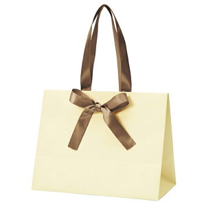 y10z񂰎 muX N[ M 23×12×18cm}bgn̗ہBTe{̎ŏivXB   Ɩp  bsO Mtg