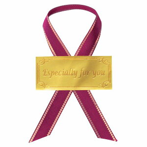 y5%OFFN[|LIubNtCf[Ԓzy100z{tV[ tH[[ CV[ bsO  킢 Mtg { XebJ[ 