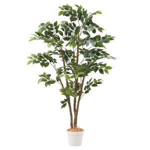 }EeAbV(lH) 150cm 1䂨svItFCNO[͂H tFCNO[ ϗtA tFCN A ^ CeA 傫 A  Zbg