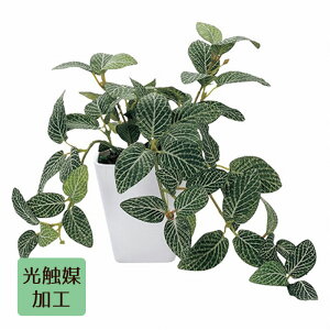 yG}HzO[|bg tBbgjA 1䑗 tFCNO[ ϗtA tFCN lHϗtA A  ~j CeA G}  tBbgjA gC A  Z