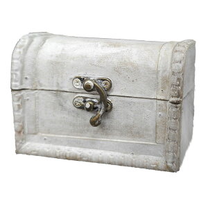 ؐVr[VbNgN{bNX zCg W12cm SS 1Ci[tȂ̂ŁAԍނĂ̎gp\BG݂ăfBXvCprɂBؐ {bNX [   Ce