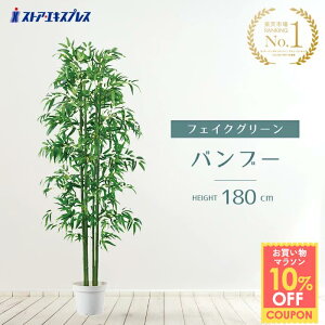  180cm 1 tFCNO[  JXj Vzj A  ZbgĂ̕ƂČȂ[ɂ҂IlH̗̍tłB [  lH Ղ 