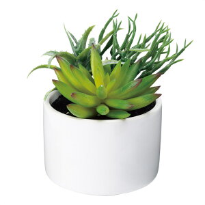 y5%OFFN[|LI1130z݌Ɍ聄Av^[itFCNO[j 1 tFCNO[ ϗtA tFCN lHϗtA A  ~j A C