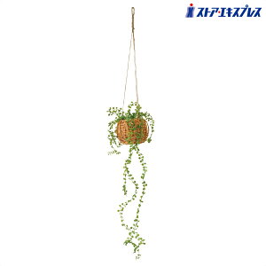 y5%OFFN[|LIubNtCf[ԒznMOO[oXPbg r[oC 1 tFCNO[ ϗtA tFCN lHϗtA A Ǌ| ݂艺 C