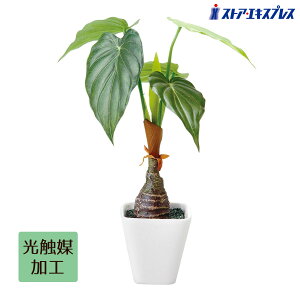 y5%OFFN[|LI111zyG}HzAJVA tFCNO[ ϗtA tFCN lHϗtA A  CeA G} gC A  Zbg L