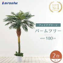 楽天市場】フェイクグリーン ヤシの通販
