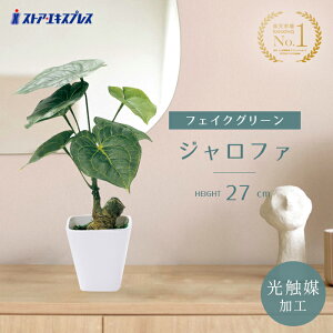 y5%OFFN[|LI111zyG}HzWt@ tFCNO[ ϗtA tFCN lHϗtA A  CeA G} gC A  Zbg L