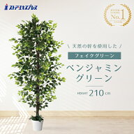 【3%OFFクーポン有り！5月20日限り】【天然木使用】ベンジャミン グリーン 高さ210cm フェイクグリーン …