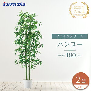 y2{Zbgz 180cmĂ̕ƂČȂ[ɂ҂IlH̗̍tłB [  lH Ղ  ϗtA tFCNO[ | ^ A ItBX 