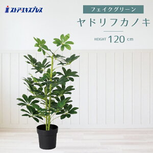 htJmL 120cm 1sΐFĂ̂̊ϗtABtFCNȂ̂ŎԂ炸BO[ŗȓX܃fBXvCɁB tFCNO[ ϗtA tFCN lH