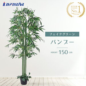 y5%OFFN[|LI}\Ԓzou[ 150cm 1 [ lH Ղ  lHϗtA tFCNO[ | ^ A tFCN 傫 A  Zbg ̗t 