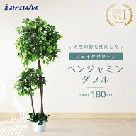 【10%OFFクーポン有り！SALE最終迄】【天然木使用】ベンジャミン ダブル 高さ180cm 1台送料無料 フェイク…